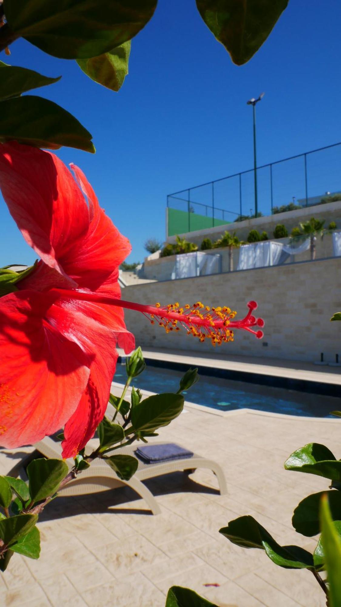 Amour Relax Hotel Almirida Екстериор снимка